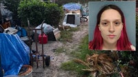 Florida deputies rescue child from unsafe living conditions during drug investigation: OCSO