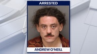 Man arrested after $96K vandalism caught on camera at St. Pete apartment building: Police