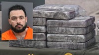Drug trafficking ring dismantled as Pinellas County deputies seize 132 pounds of cocaine worth $2.1M