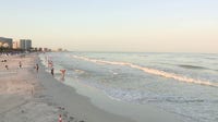 Event travel drives record $36 million spring tax collection in Pinellas County