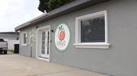South Tampa preschool becomes first stand-alone IB preschool in Florida
