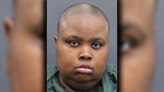Severely neglected dogs found in Tampa apartment, caregiver arrested: HCSO