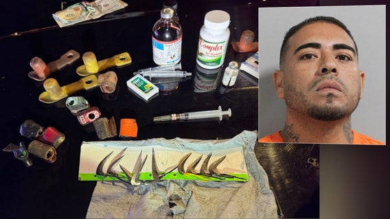 Lakeland cockfighting arrest: Traffic stop leads to charges against Plant City man