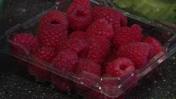 Cyclosporiasis outbreak: Five Tampa Bay area cases reported