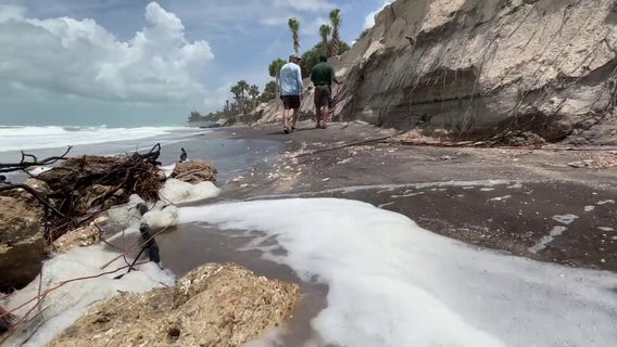 North Manasota Key coastal erosion: Seawalls threaten homes and sea turtle nests