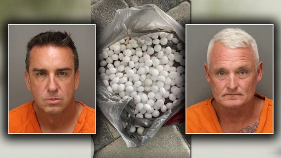 St. Pete Beach mothballs: Two men arrested in plot to disrupt nesting shorebirds