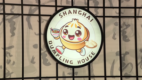 Hand-crafted Chinese dumplings create a stir for new restaurant near USF