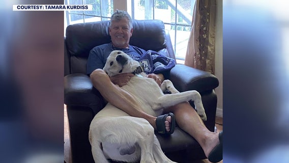 Wesley Chapel family mourns man killed by falling tree during storm