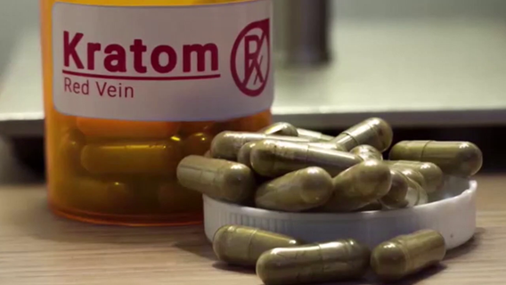 Lethal loophole: How manufacturers synthesize new kratom compounds after Florida ban