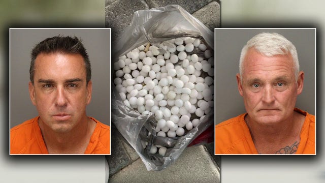 St. Pete Beach mothballs: Two men arrested in plot to disrupt nesting shorebirds