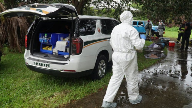 Florida postal worker who picked up stray cats on route kept over 70 animals in squalor: MCSO