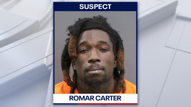 Hillsborough man arrested, accused of kicking and hitting dog: Deputies
