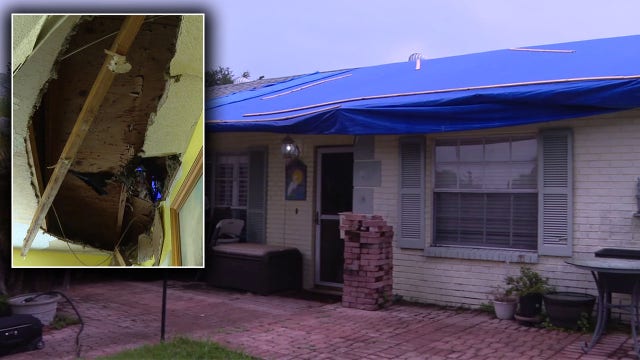 Brandon home seriously damaged after tree goes through roof