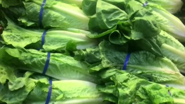 Cyclospora outbreak: FDA declares Taylor Farms lettuce test false positive, but data still supports recall