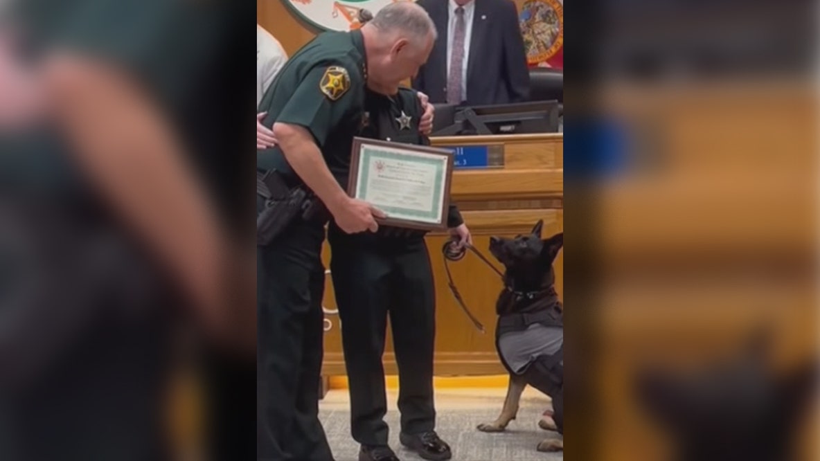 K9 Ace honored with Commendation for Valor after losing leg in Polk County shooting