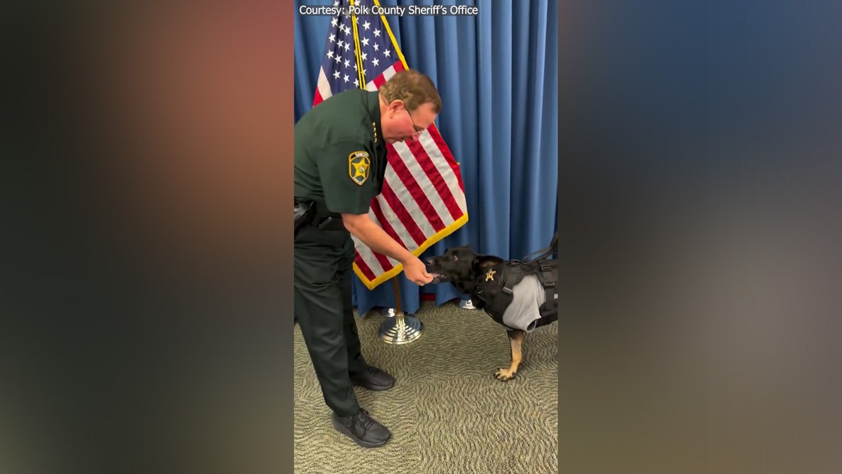 Video: K9 Ace greets Polk County Sheriff Grady Judd after being shot and having leg amputated