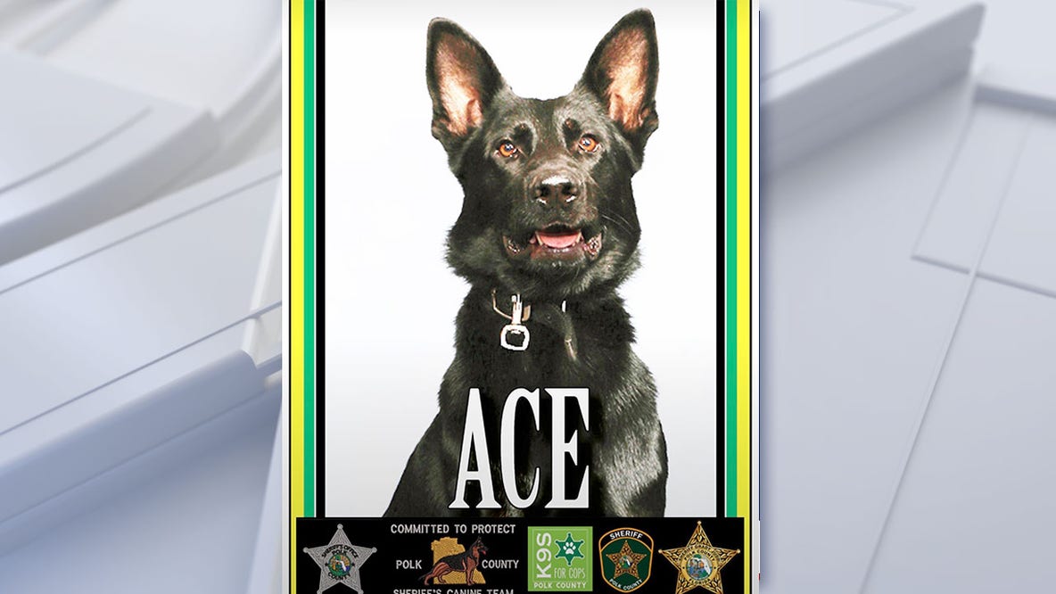Polk County K9 recovering after Kathleen woods shootout, being forced to retire after 6 years of service
