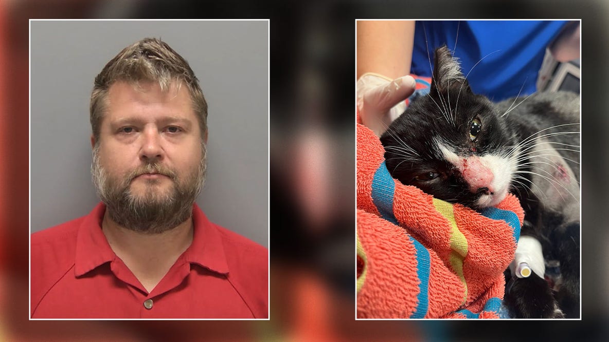 Florida man arrested after shooting cat with BB gun: LCSO