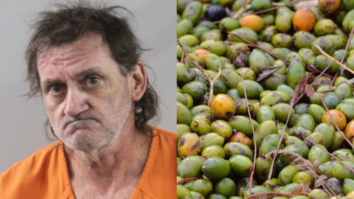 Polk County saw palmetto berry poacher picked up on university property: PCSO