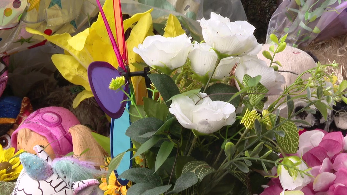 Plant City family shooting update expected as attorney claims no living suspects