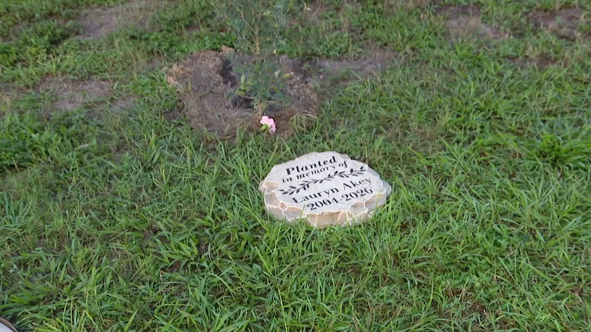 Friends, family plant tree at USF honoring nursing student killed by wrong-way driver