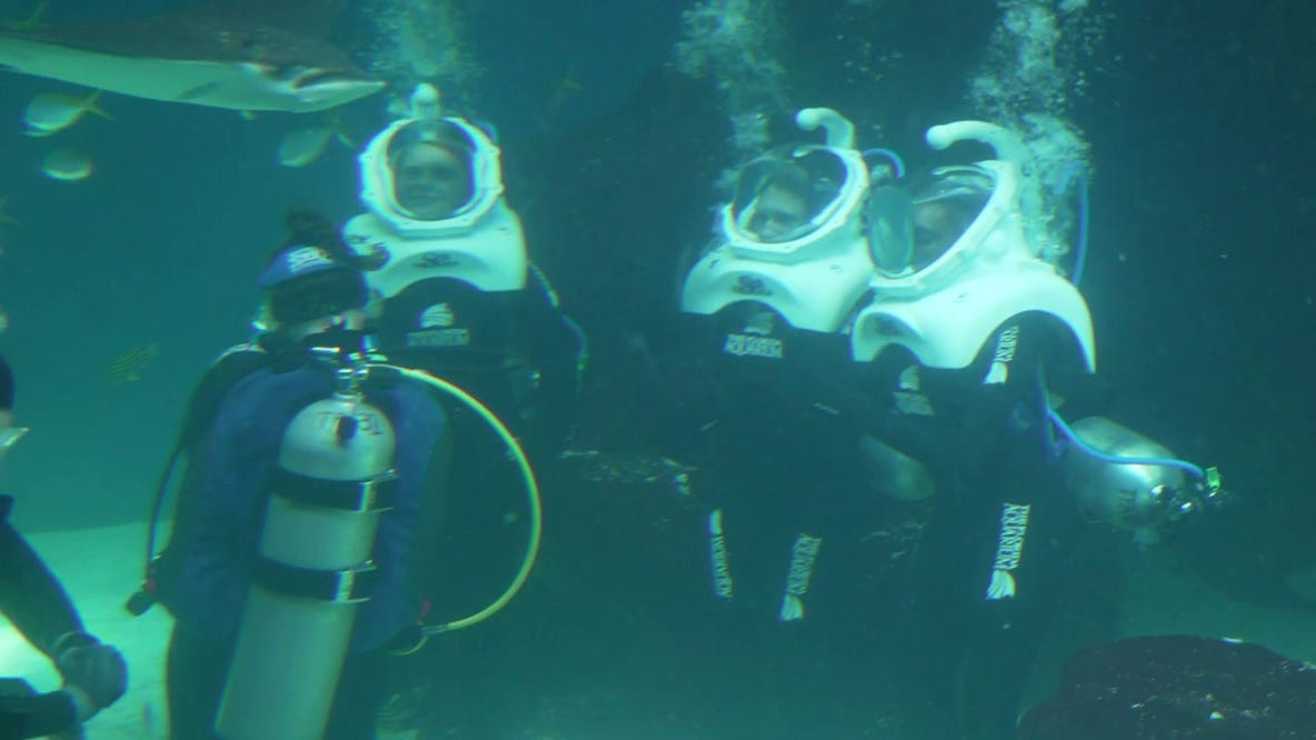 Florida Aquarium partnership offers teens underwater adventure