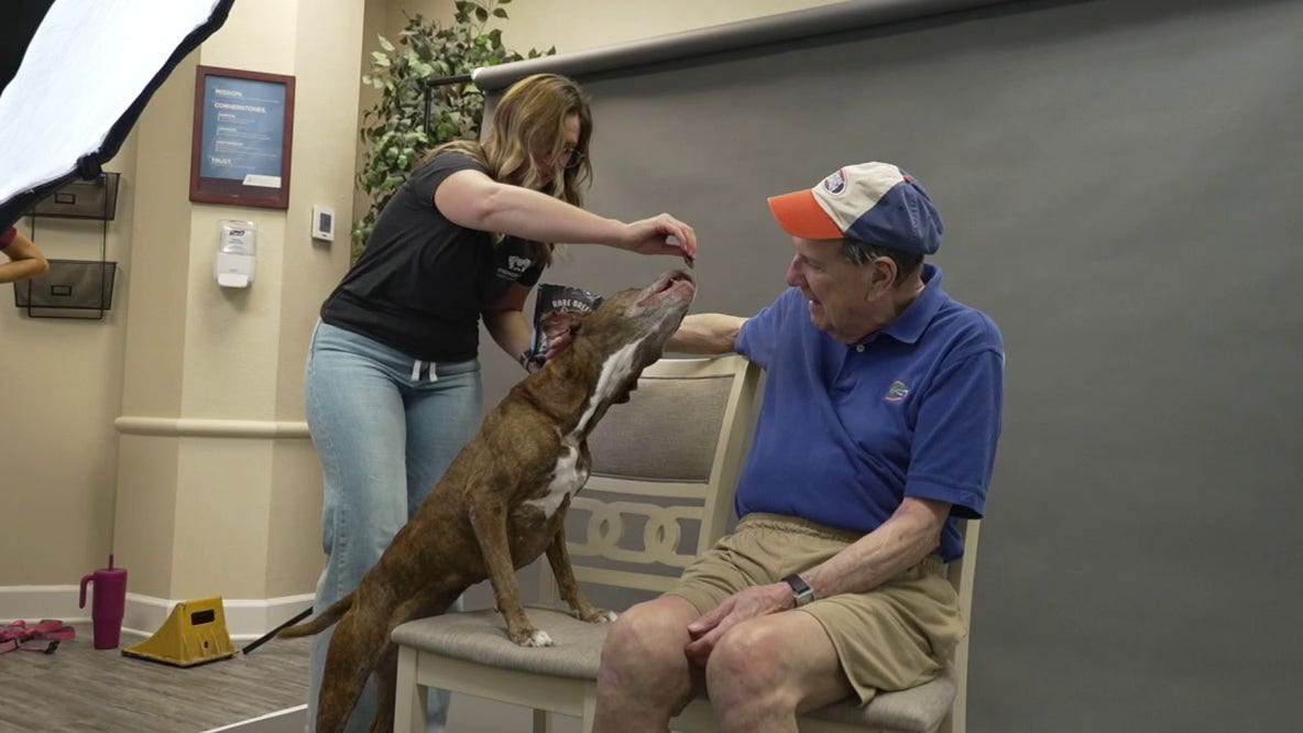 Senior dogs paired with senior residents for shelter adoption push