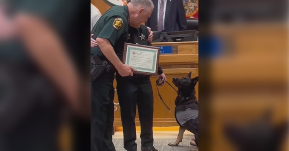 K9 Ace honored with Commendation for Valor after losing leg in Polk County shooting