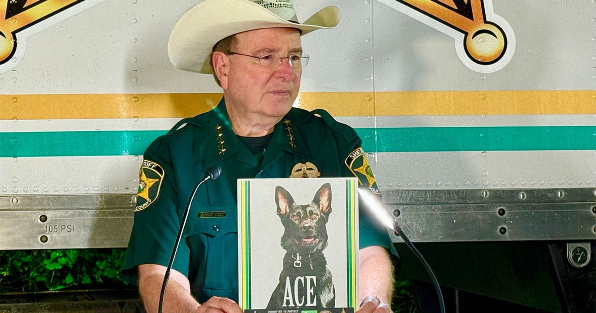 Polk County K9 shot: Suspect killed in Kathleen woods shootout
