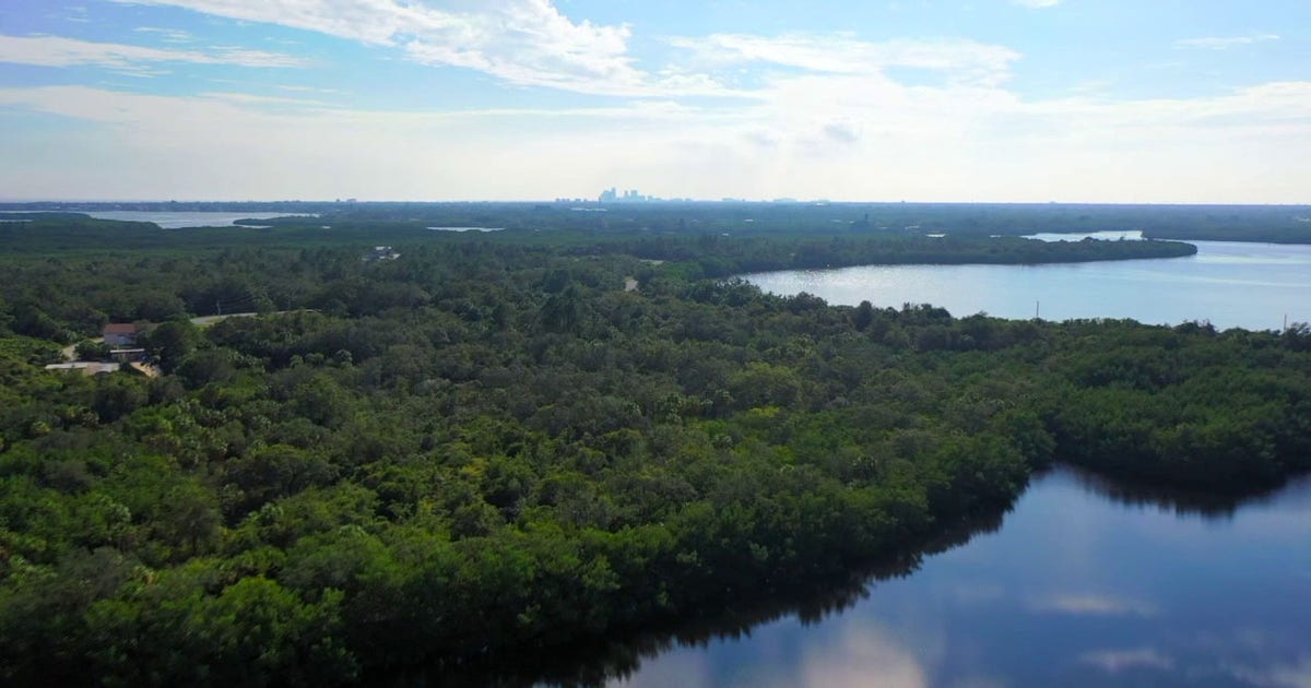 Pinellas County leaders consider funding cuts for Weedon Island, Shell Key preserves