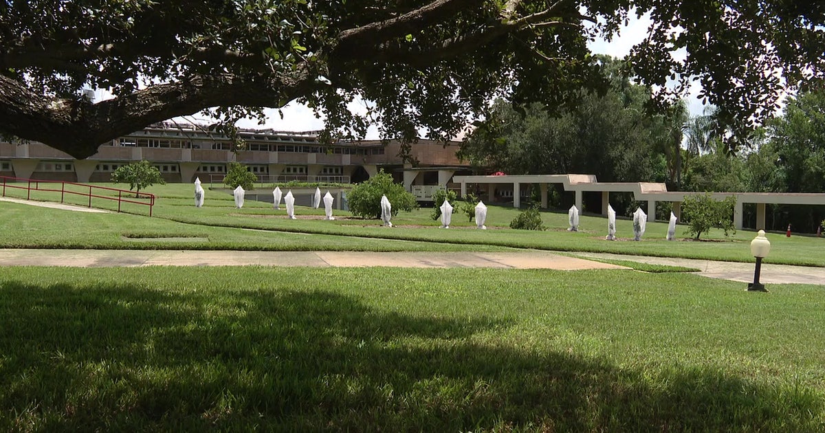 Florida Southern College turns citrus groves into 'living laboratories' to help rescue state's industry