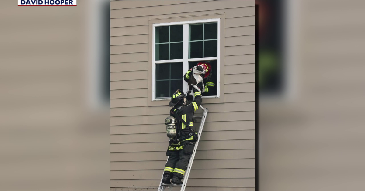 Pasco County mother and son housed after Cobalt Apartment fire