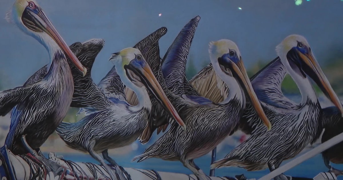 Avian Art Exhibition Helps Birds Take Flight Again FOX 13 Tampa Bay avian-art-exhibition-helps-birds-take-flight-again-fox-13-tampa-bay