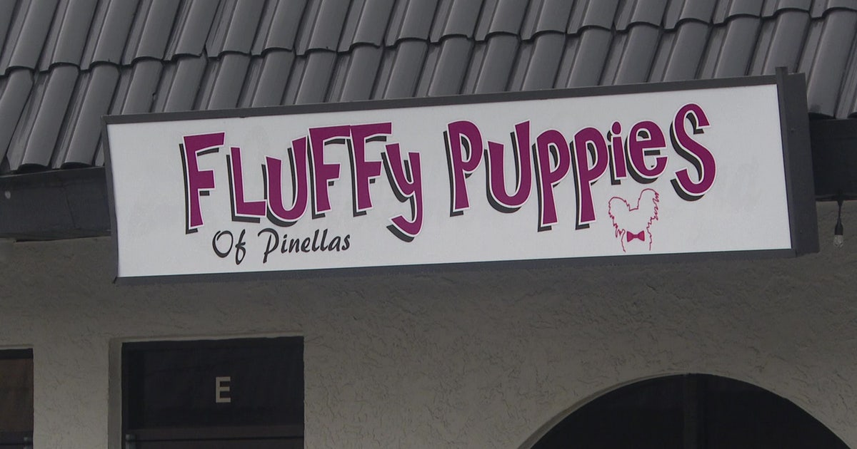 Largo dog groomer responds after dog dies during grooming appointment