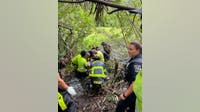 Walmart grounds crew helps save 2 women after car crashes into North Port creek: NPFR