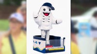 Where is Flappy Boi? Rays offer free tickets, t-shirts after shipping delay