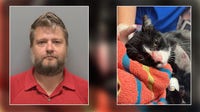 Florida man arrested after shooting cat with BB gun: LCSO