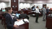 Teen charged in Davis Islands dog park attack pleads guilty