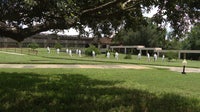 Florida Southern College turns citrus groves into 'living laboratories' to help rescue state's industry