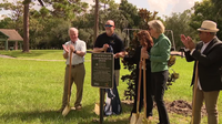 Tampa mayor, Ismaili Muslim community plant 250 trees at Rowlett Park in honor of America 250