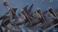 Avian art exhibition helps birds take flight again