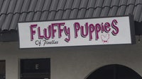 Largo dog groomer responds after dog dies during grooming appointment