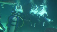 Florida Aquarium partnership offers teens underwater adventure