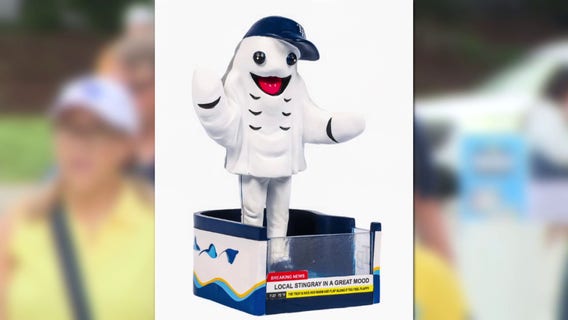 Where is Flappy Boi? Rays offer free tickets, t-shirts after shipping delay