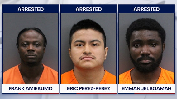 116 arrested, 5 human trafficking victims rescued in 'Operation Relentless Summer': HCSO