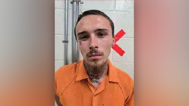 FLOCK cameras help find kidnapped Florida kids: LCPD