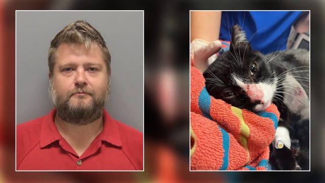 Florida man arrested after shooting cat with BB gun: LCSO