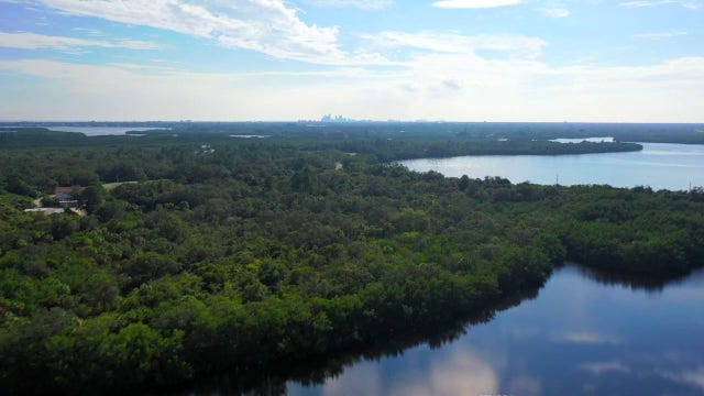 Pinellas County leaders consider funding cuts for Weedon Island, Shell Key preserves