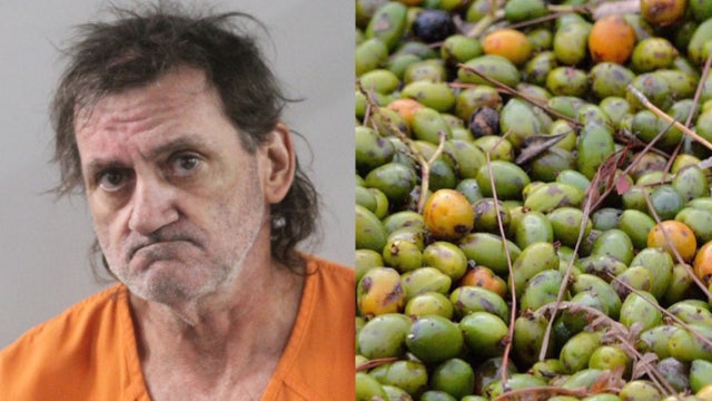Polk County saw palmetto berry poacher picked up on university property: PCSO