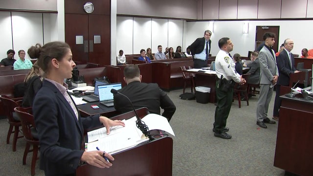 Teen charged in Davis Islands dog park attack pleads guilty